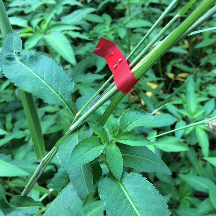 Red plant tying tape wrapped around stems with metal stake ends