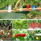 Garden crops and plants with colored tape markers and bundles