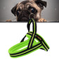 Green reflective dog chest harness with front D-ring and adjustable chest straps