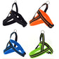 Reflective dog chest harness (XS) in black, orange, blue, and green