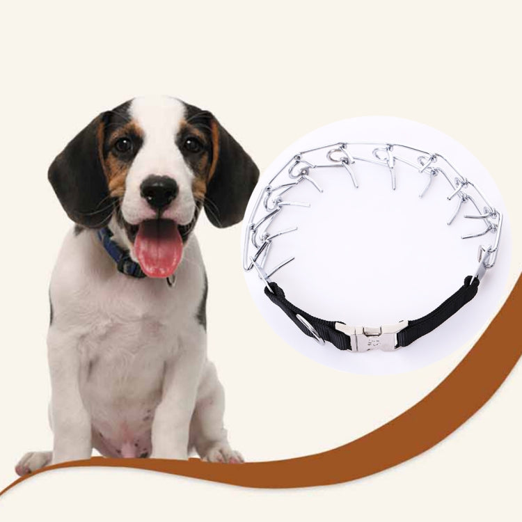 Dog wearing adjustable metal chain collar with black strap