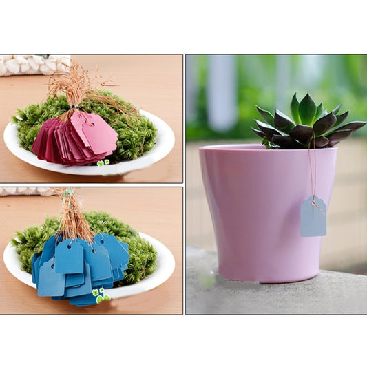 Plastic plant label tags with twine loops attached to moss and a potted succulent