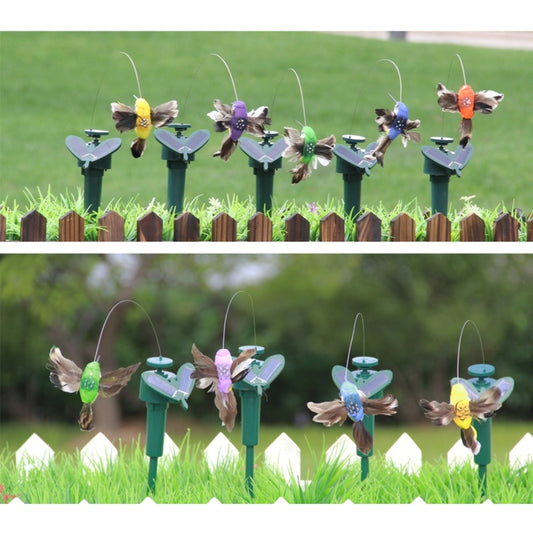 Solar hummingbird yard ornament with multiple feathered birds on green stakes with small solar tops