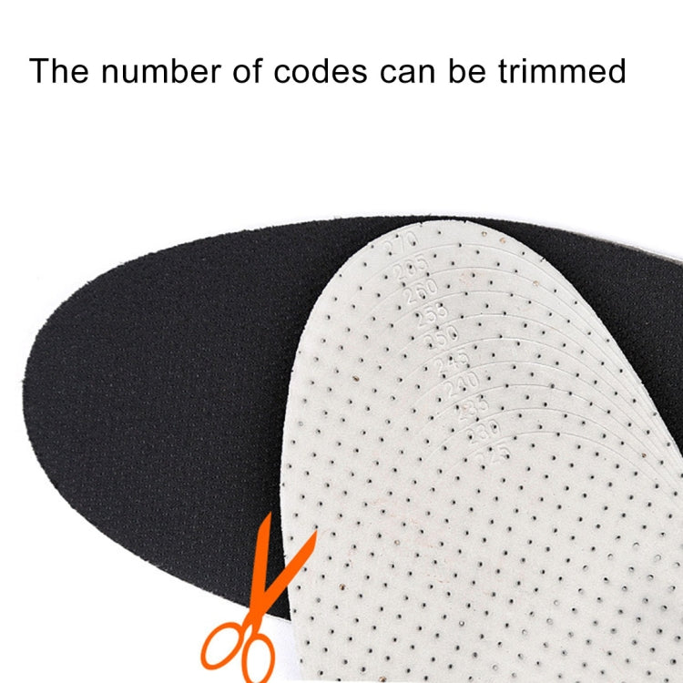Close-up shoe insole: black foam with perforated white EVA underside