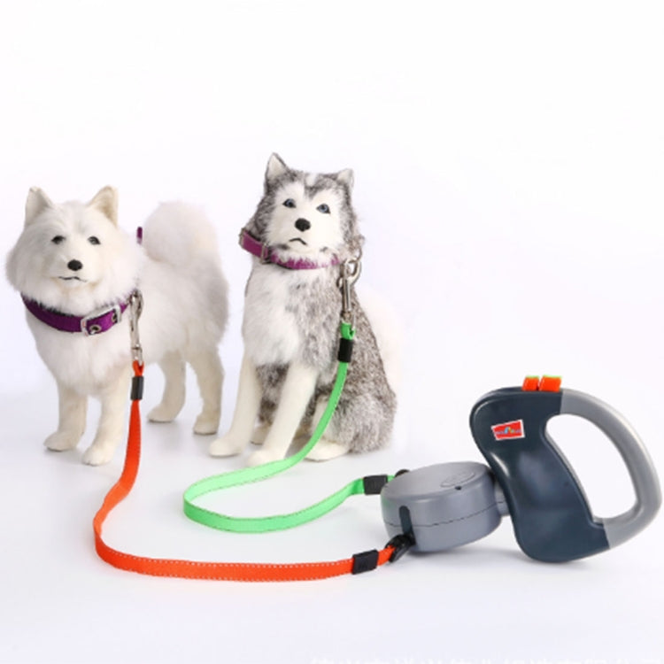 Dual retractable pet traction leash with two colored leads and gray handle