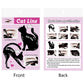 Front and back instruction cards for cat eye liner stencil templates