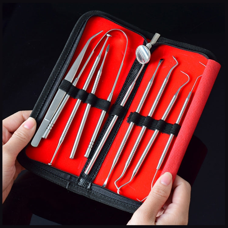 Stainless steel dentist tools set in zip case with multiple metal instruments