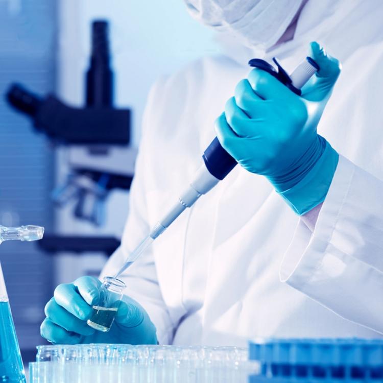 Blue disposable butyronitrile gloves worn by a lab worker holding a pipette