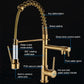 Gold kitchen sink faucet with spring hose, hot/cold switch handles, and direct water spout