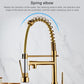 Gold spring elbow pull-down kitchen faucet with arched flexible hose and deck controls