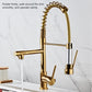 Gold pull-down kitchen faucet with spring hose, curved spout, and two vertical control stems