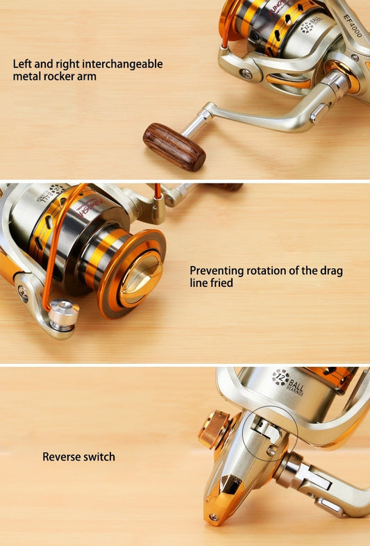 Spinning fishing reel showing spool and handle with close-up details from two angles
