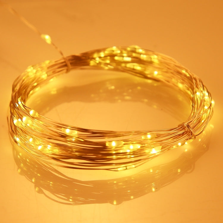 Warm-white LED fairy string lights with bright glowing bulbs along clear wire