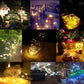 Outdoor fairy string lights glowing around plants and decor, multiple warm-white strands