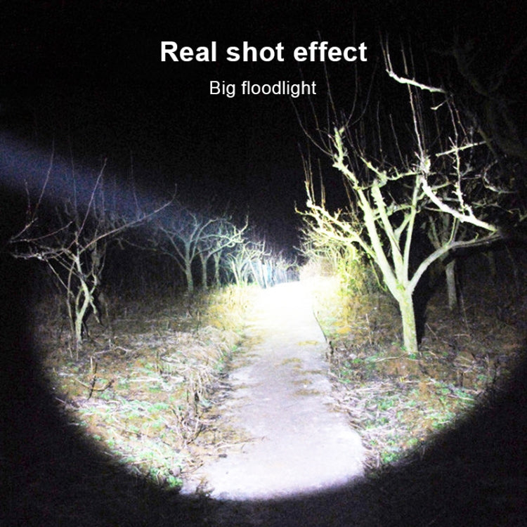 LED flashlight beam creating a bright circular spot on an outdoor path