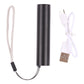 Mini flashlight with lanyard and USB charging cable with plug