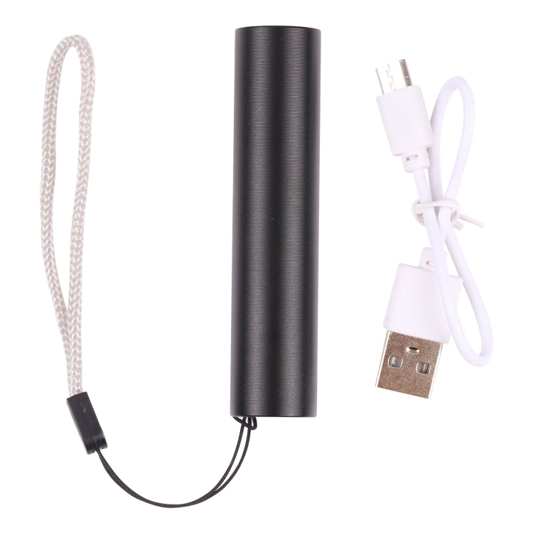 Mini flashlight with lanyard and USB charging cable with plug