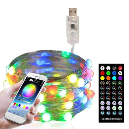 USB LED string light with copper wire, RGB bulbs, phone app and remote controller