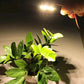Warm white LED ceiling light module emitting a soft glow