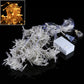LED curtain string lights set with controller and clear bulbs on white wire.