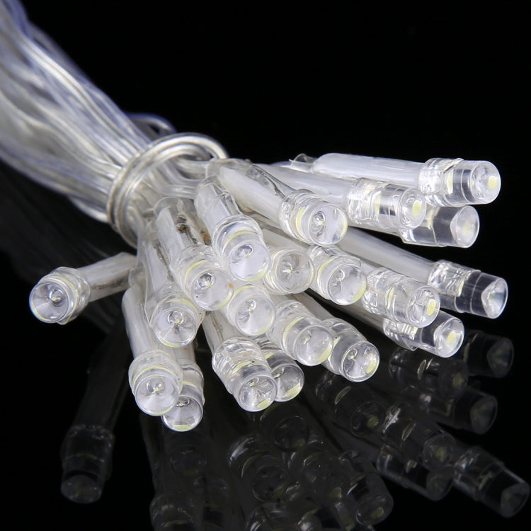 Close-up of clear LED bulbs on an LED reticular string light wire set