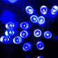Blue glowing LED bulbs on clear reticular string light cable
