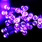 Purple glowing LED bulbs on transparent reticular string light strands