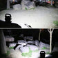 Handheld camping lamp shining on rocks and ground at night