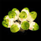Green-and-white LED Easter egg string lights with fanned bulbs on dark background