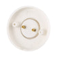 E27 lamp base socket adapter, white back plate with gold screw terminals