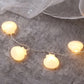 Warm shell LED fairy lights strung across clear wire with small glowing bulbs