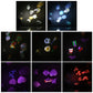 Colorful projected festive light patterns from an outdoor lawn projector lamp