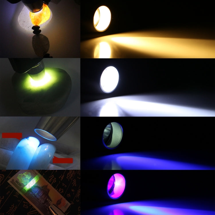 Dual-head flashlight emitting multi-color LED beams: blue, white, green, purple