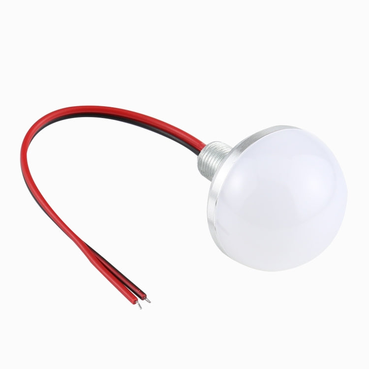 Round frosted LED bulb with threaded base, red/black wire leads