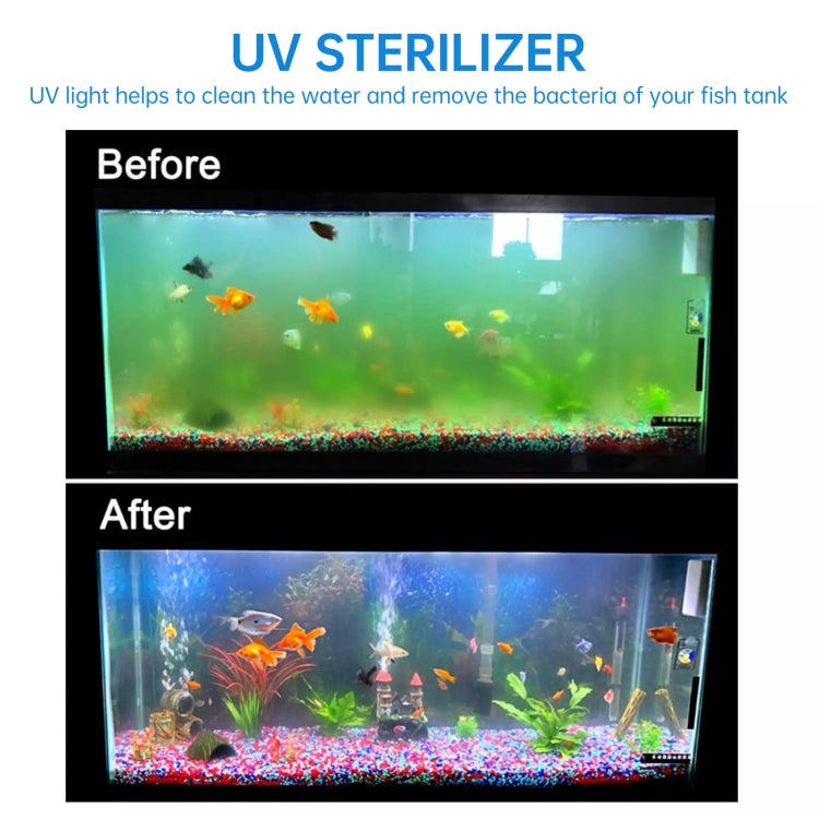 Aquarium before-and-after water clarity from UV sterilization