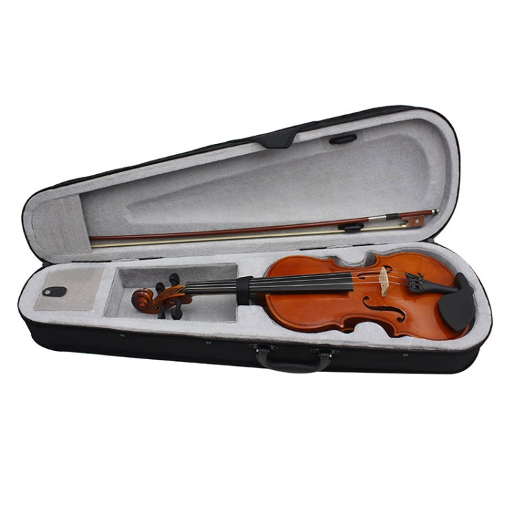 Acoustic violin in open padded hard case with bow and accessories