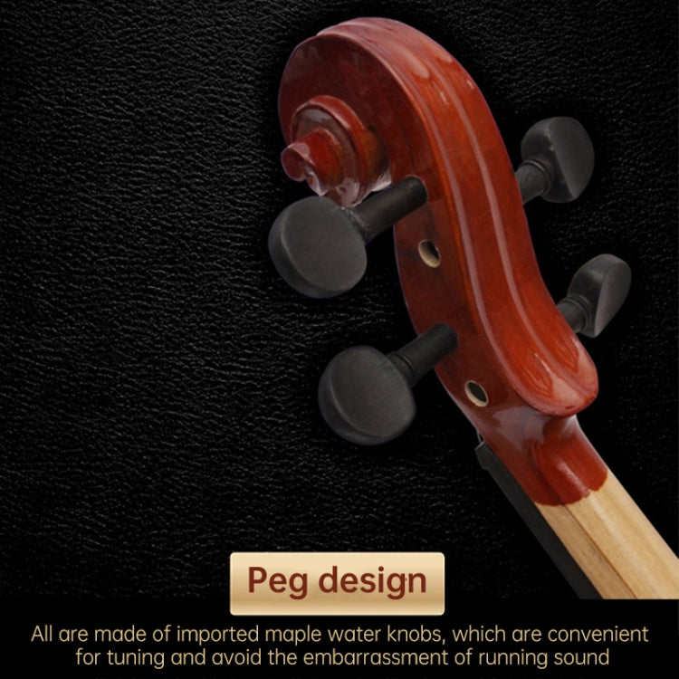 Acoustic violin headstock close-up with dark tuning pegs and carved scroll
