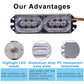 Strobe tail light with two oval LED lenses, plus transparent lens and rear plate