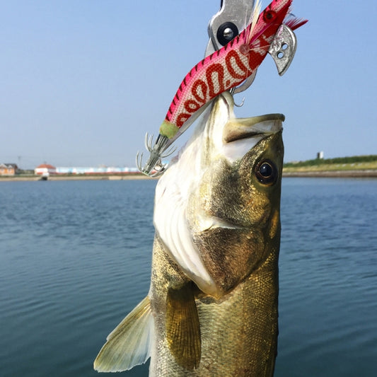 Fishing lure attached to a caught fish: magenta and dark red hard bait