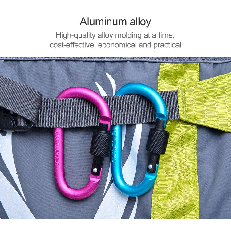 Two D-ring buckle locks clipped to a webbing strap on outdoor gear, multicolor