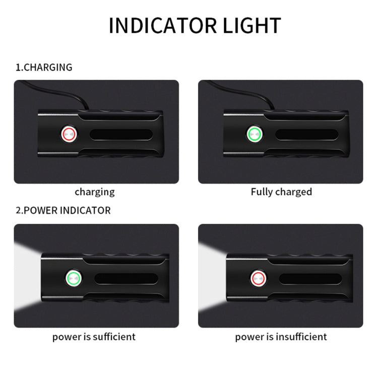 LED indicator lights on bicycle light housing, charging status circles