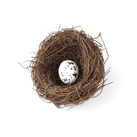 Brown straw bird nest with one speckled white egg