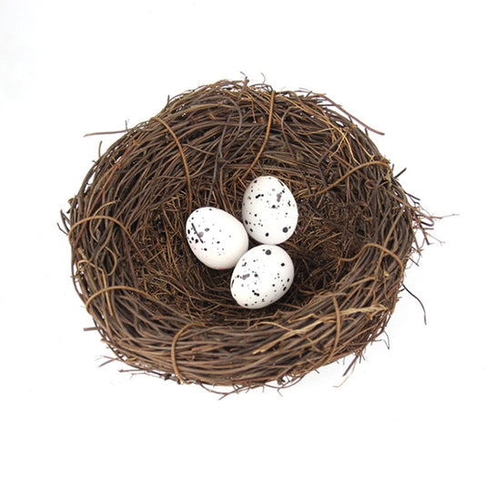 Brown twig bird nest with three speckled white eggs