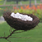 Brown twig bird nest with multiple speckled white eggs on a branch
