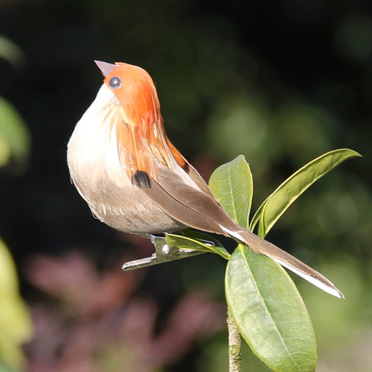 Orange and cream foam sparrow perched on green leaves, long tail and open beak.