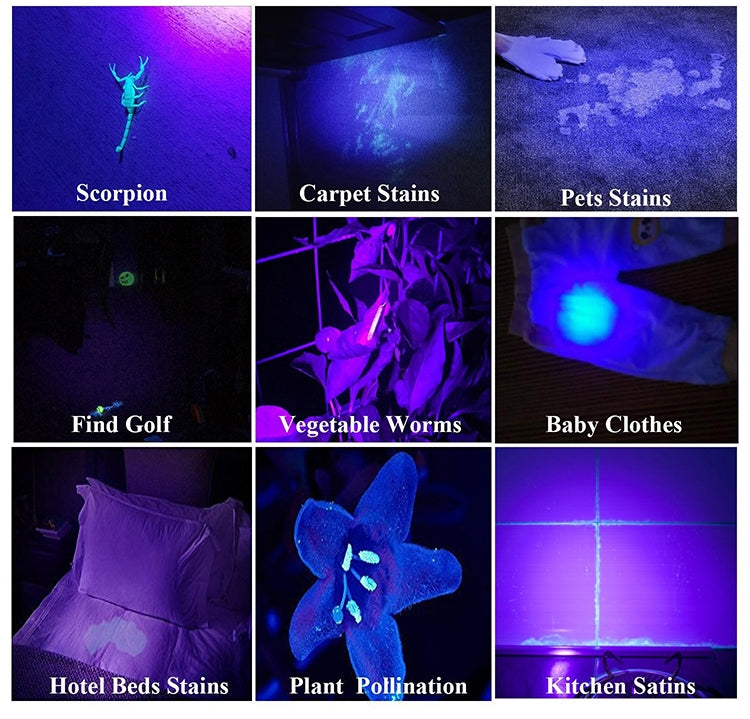 Rechargeable lantern casting bright blue light, glowing beam across surface