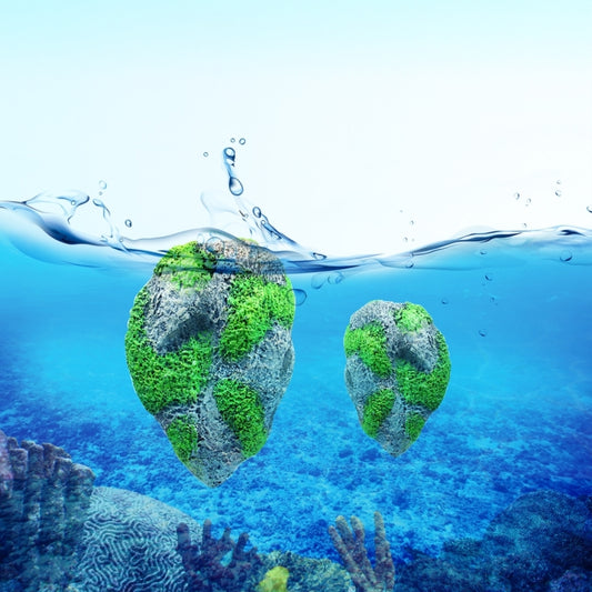 Moss-covered floating aquarium stones with a rugged gray texture in water
