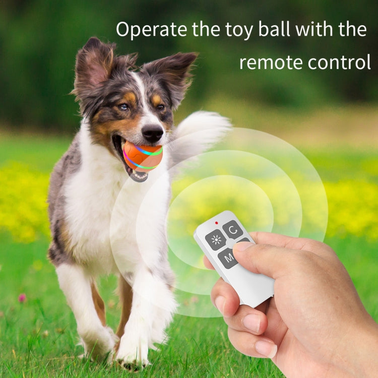 Remote-controlled luminous pet ball toy used with a dog