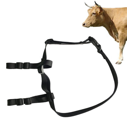 Black adjustable cattle tracking collar with wide webbing straps and connecting band