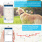 GPS tracker app on smartphone showing realtime tracking map and history route